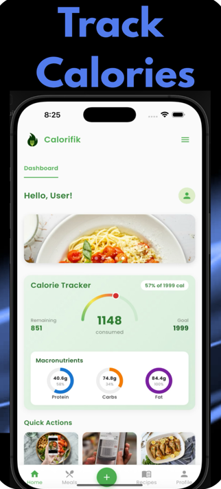 Calorific Camera Interface